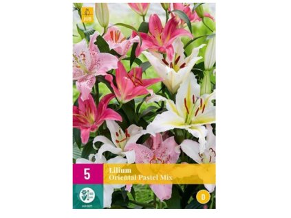 Snímek obrazovky 2024 02 01 133945