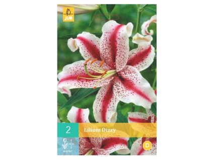 Snímek obrazovky 2024 02 02 082554