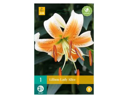 Snímek obrazovky 2024 02 04 165539