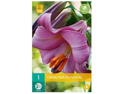 Snímek obrazovky 2024 02 04 165910