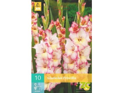 87d3cb5e 699a 430d 9240 b36b5f8d6cdd