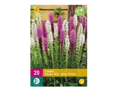 Snímek obrazovky 2024 02 04 222416