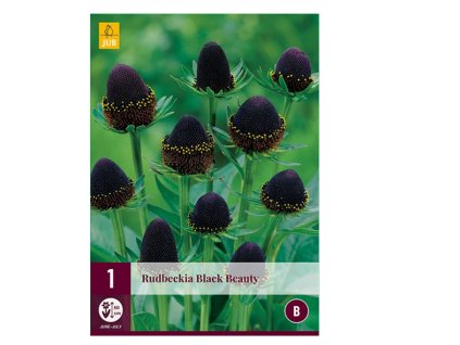 Snímek obrazovky 2024 02 04 223504