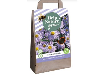 Snímek obrazovky 2024 02 04 224401