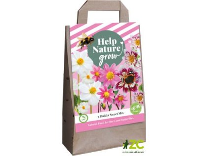 c1bfae9a 06a6 4e91 a08b bf548259649f