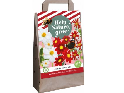 Snímek obrazovky 2024 02 04 225547