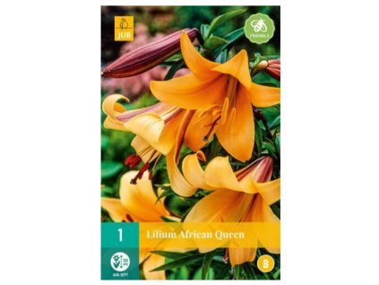 Snímek obrazovky 2024 02 22 104325