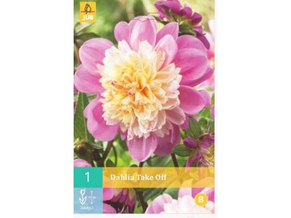 Snímek obrazovky 2024 02 22 111256