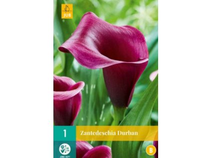 Snímek obrazovky 2024 02 22 105251