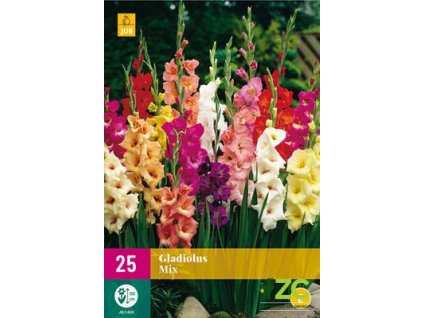 34262c02 6f7e 42b0 8d01 d100f1151a16