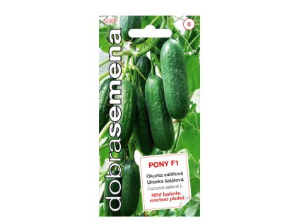 Snímek obrazovky 2024 03 07 112935