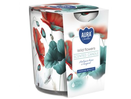 Snímek obrazovky 2024 03 08 093532