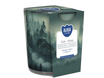 Snímek obrazovky 2024 03 08 094704