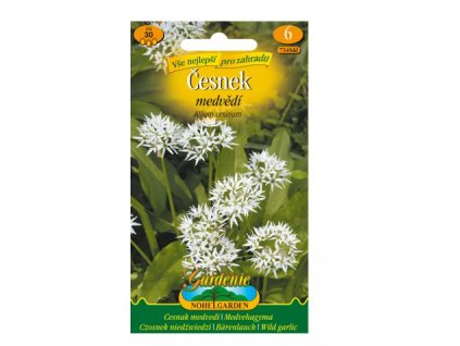 Snímek obrazovky 2024 05 23 092428