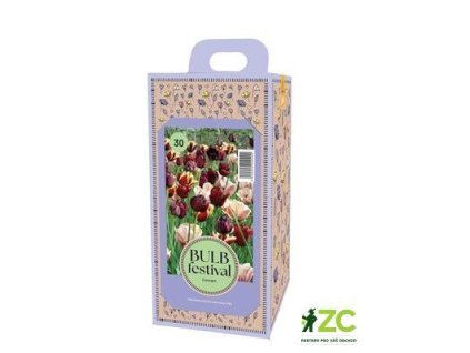 fbde41a2 bab7 4e6c a9f6 3fbdd824a466