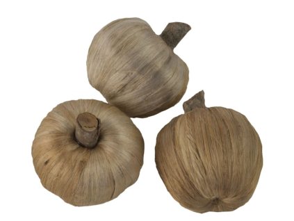 Snímek obrazovky 2024 12 10 072026