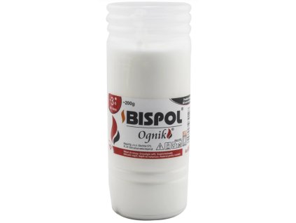 Snímek obrazovky 2025 01 22 105814