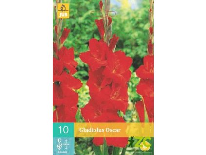 cf88682e 882b 4628 93a1 c5032fba6e8b