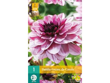 714c6516 36a6 4b88 ba1c 9387531ad9a5