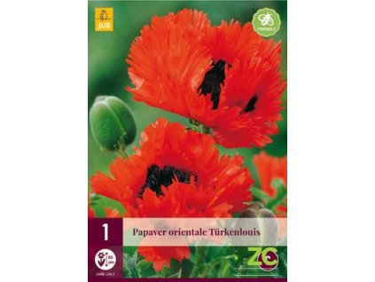 9dd4aa34 0c1f 49d8 82f9 2acdfa54326e