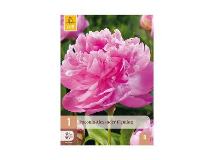 Snímek obrazovky 2026 02 13 134052