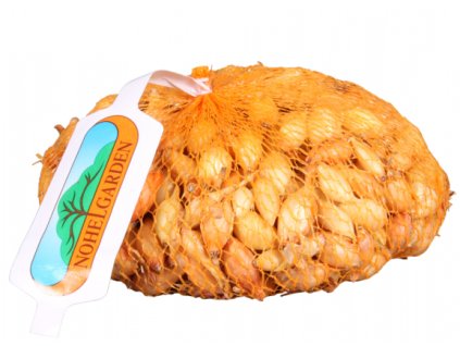 Snímek obrazovky 2025 01 28 101440