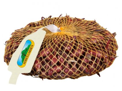 Cibule sazečka ROMY 500g 8-16mm