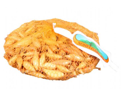 Snímek obrazovky 2025 01 28 100901