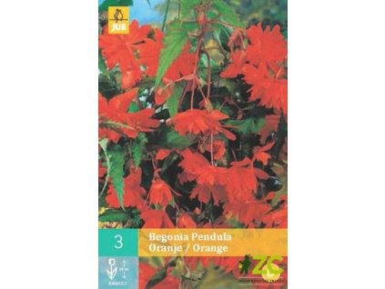 b6f75aff c442 442e b7c6 4c3b08bc133f