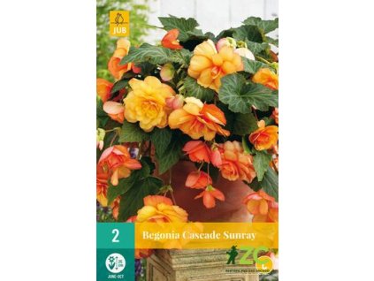 b1ab0a7d 0a1f 4111 86b1 034e2c78bbdc