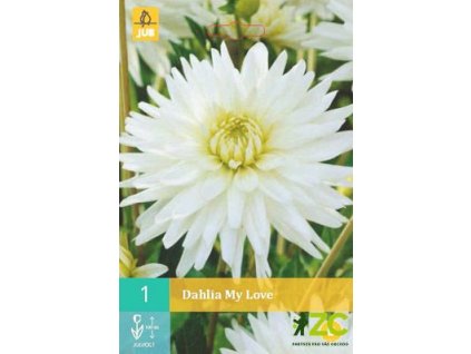 af4a0802 6cd7 4329 af35 59a91ff229c3