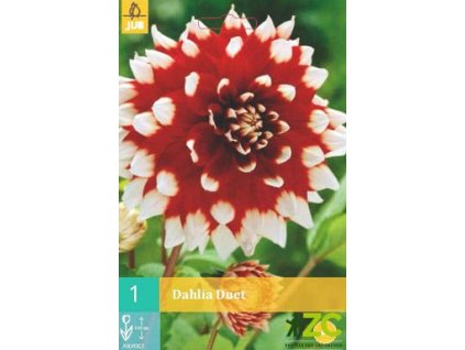 Snímek obrazovky 2025 02 27 090043