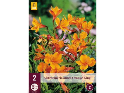 Snímek obrazovky 2025 02 25 103706