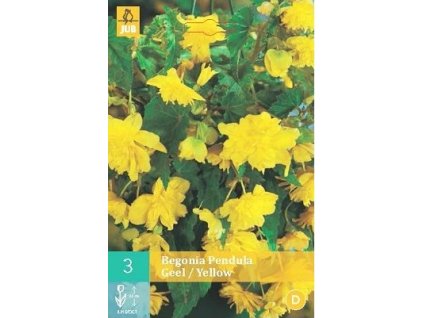 Snímek obrazovky 2025 02 25 105601