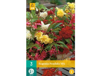 Snímek obrazovky 2025 02 25 095506