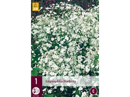 Snímek obrazovky 2025 02 25 111346