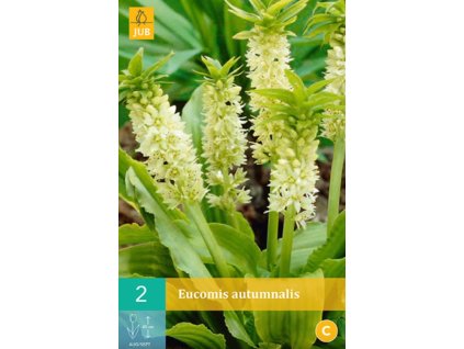 Snímek obrazovky 2025 02 25 113324