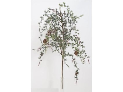 Snímek obrazovky 2026 01 06 075242