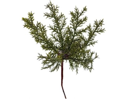 Snímek obrazovky 2026 01 06 074925