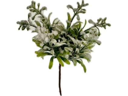 Snímek obrazovky 2026 01 06 070830