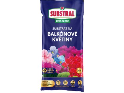 Snímek obrazovky 2026 01 21 073436