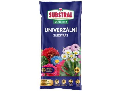 Snímek obrazovky 2026 01 20 123628