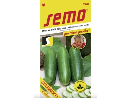 Snímek obrazovky 2026 01 27 104240