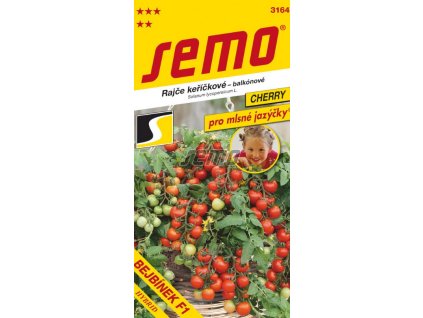 Snímek obrazovky 2026 01 27 124333