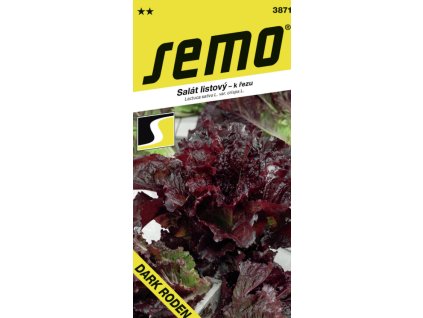 Snímek obrazovky 2026 01 27 123736