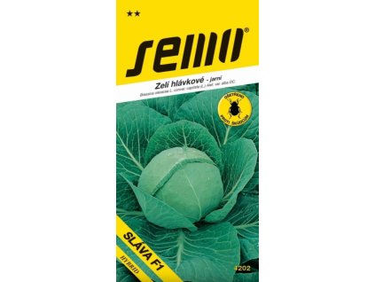 Snímek obrazovky 2026 01 27 123407