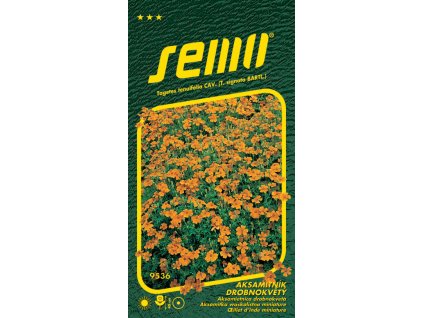 Snímek obrazovky 2026 01 27 113328