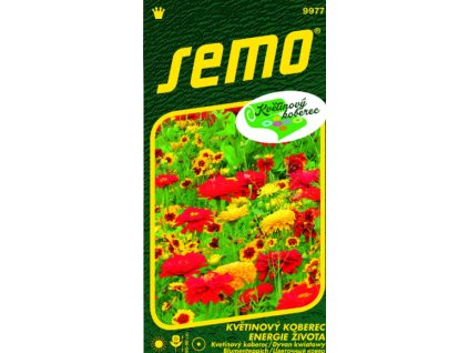 Snímek obrazovky 2026 01 27 124926