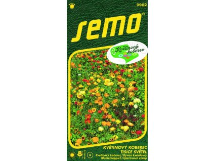 Snímek obrazovky 2026 01 27 124615