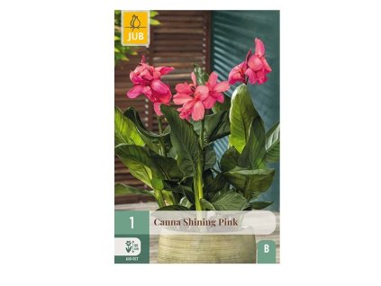 Snímek obrazovky 2026 02 18 095228